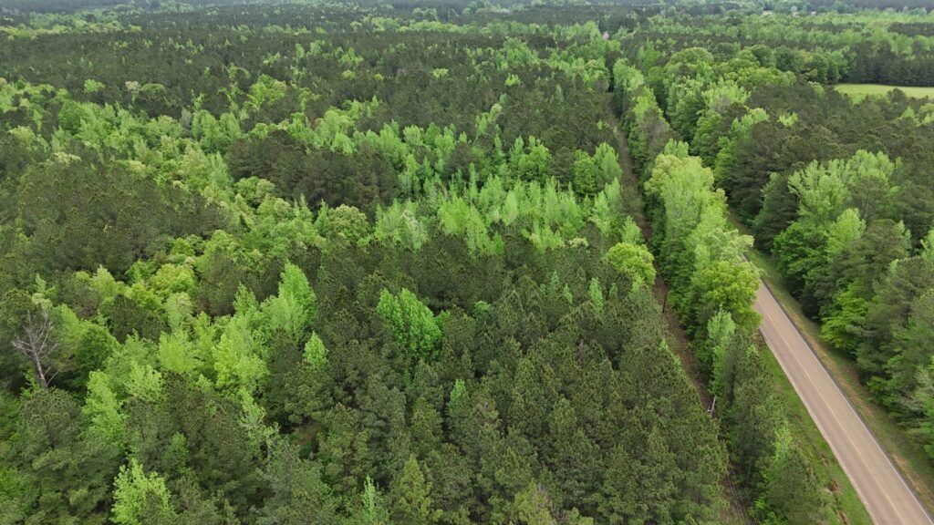 Aerial view of wooded land for sale in Attala County, Mississippi