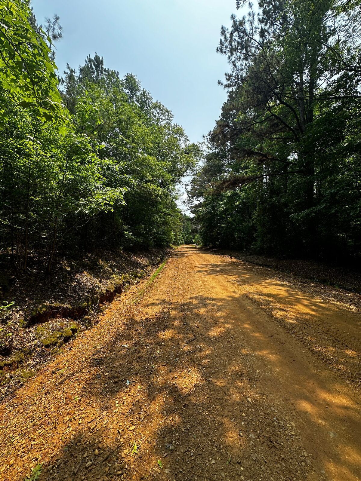 County road with woods on both sides at McCool Estates