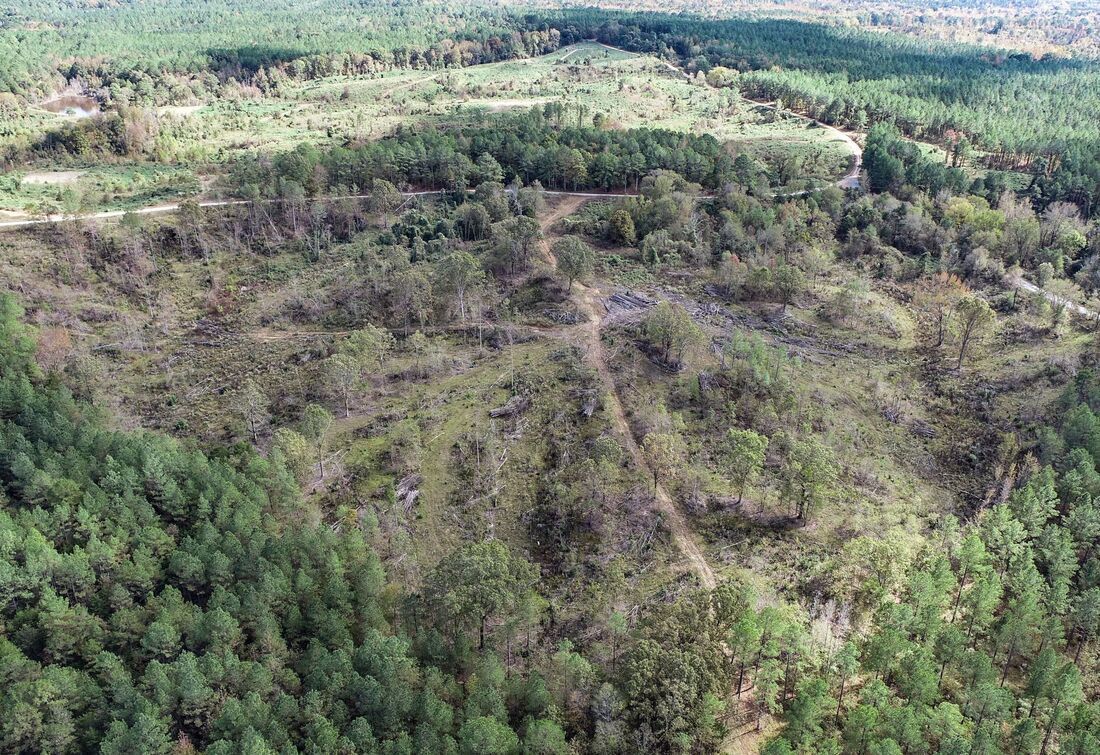 Aerial view of recently timbered, open ground at Tillatoba