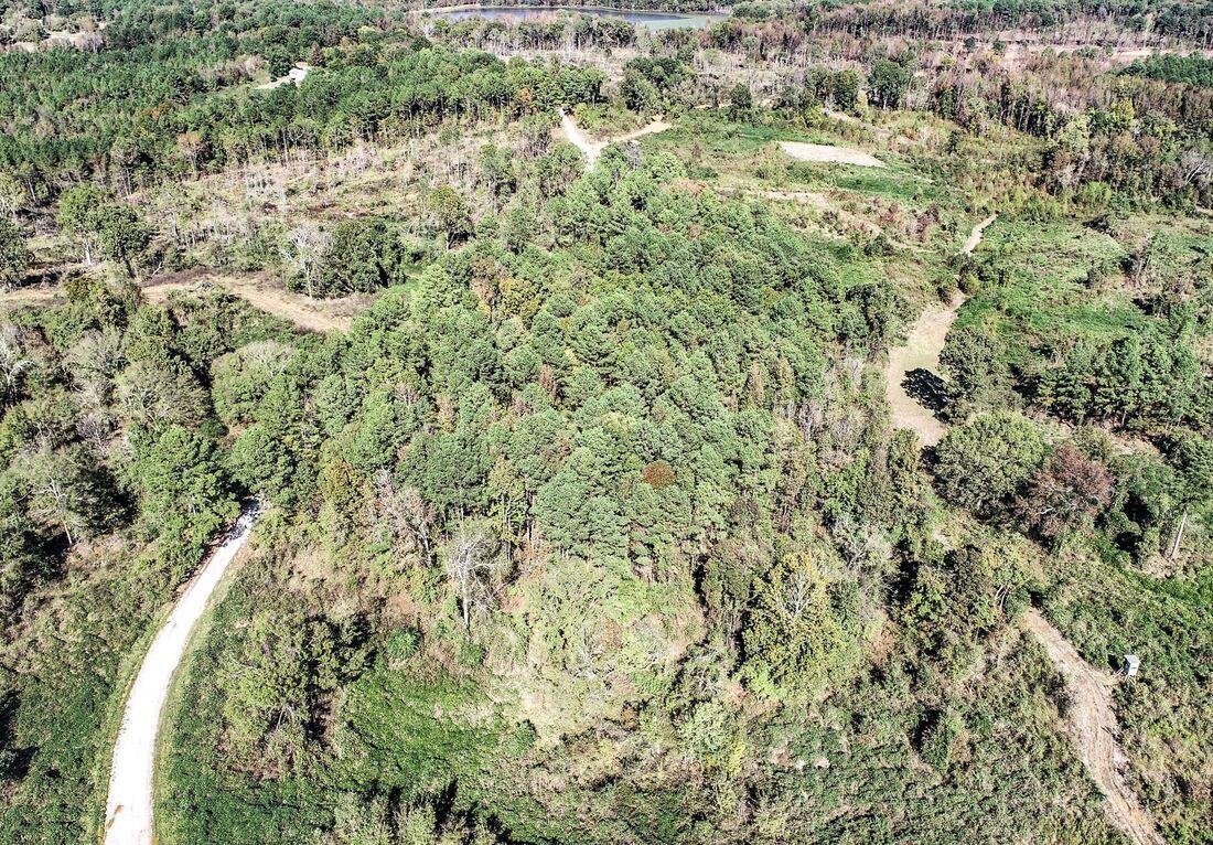 Aerial view of Tillatoba land for sale in Yalobusha County, Mississippi