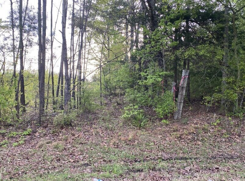 Woods entrance on the Union Ridge property